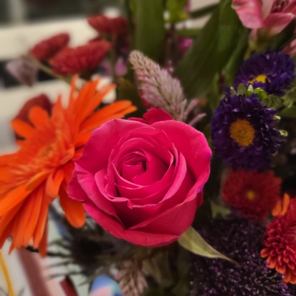 Meet your Posher, Koyla - Picture 1 of 1